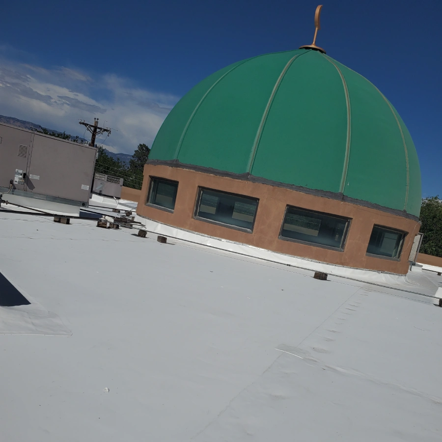 Professional Roofer